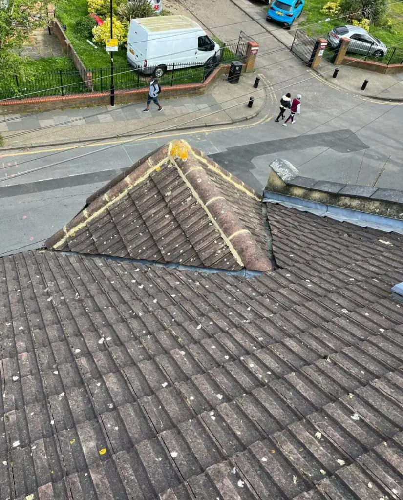 pitched-tile-roof-hip-and-valley-inspection-london