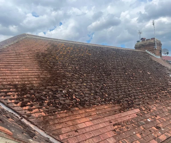 large-pitched-tile-roof-roofers-across-essex